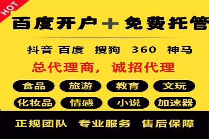 行业领先企业如何通过SEM运营提升ROI